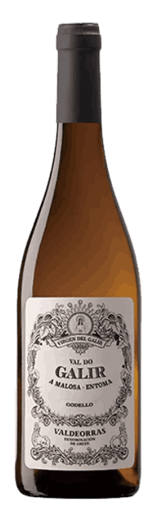 ビルヘン・デル・ガリル バル・ド・ガリル ゴデーリョ