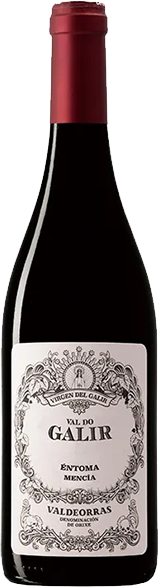 ビルヘン・デル・ガリル バル・ド・ガリル メンシア