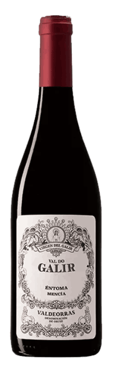 ビルヘン・デル・ガリル バル・ド・ガリル メンシア